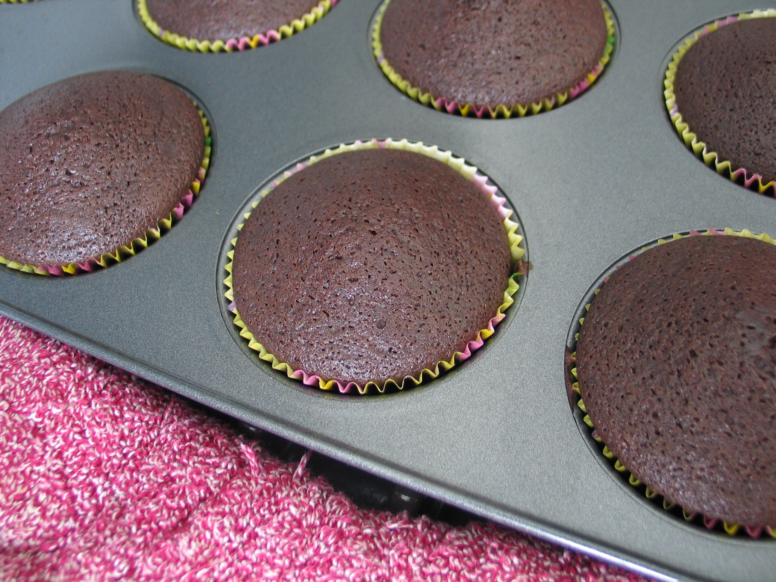 Chocolate Cupcakes (Lactose & Egg-Free)