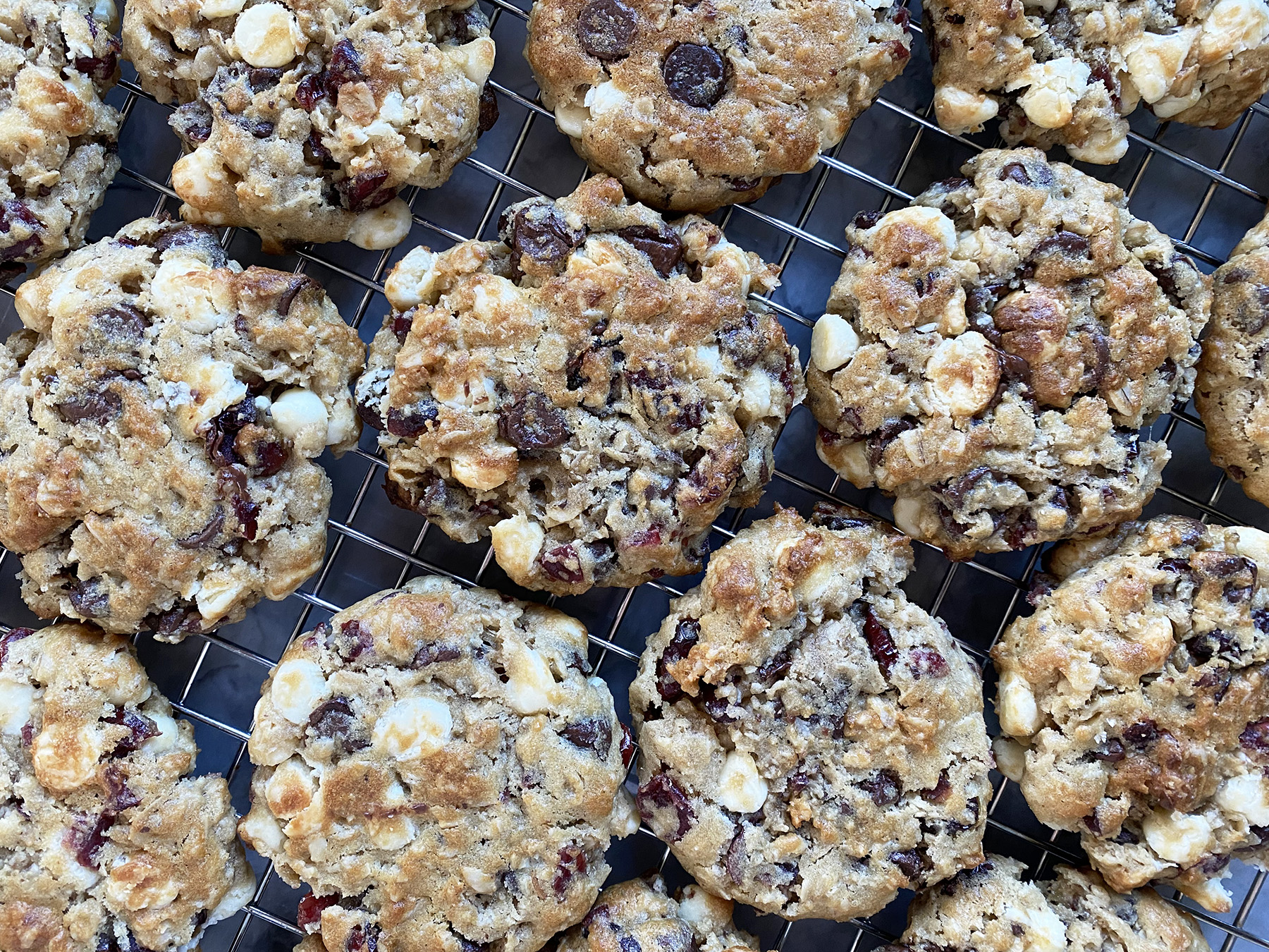 Cranberry Oatmeal Snack Cookies