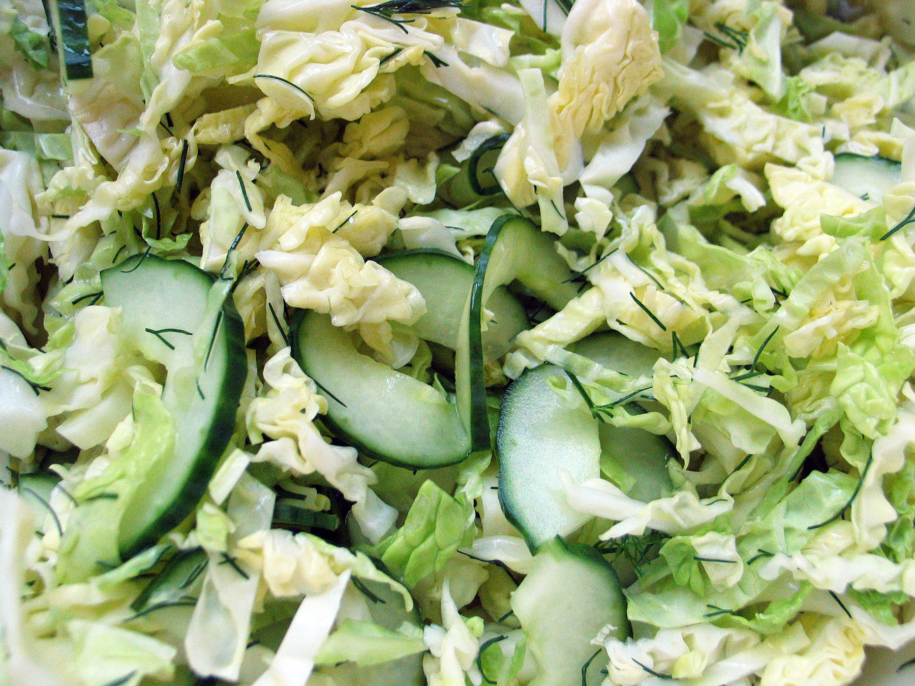 Cucumber Slaw with Dill